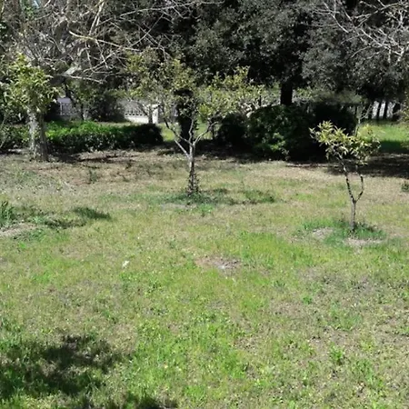 La Casa Dei Nonni Sogliano Cavour
